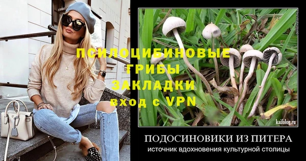 ALPHA PVP Беломорск